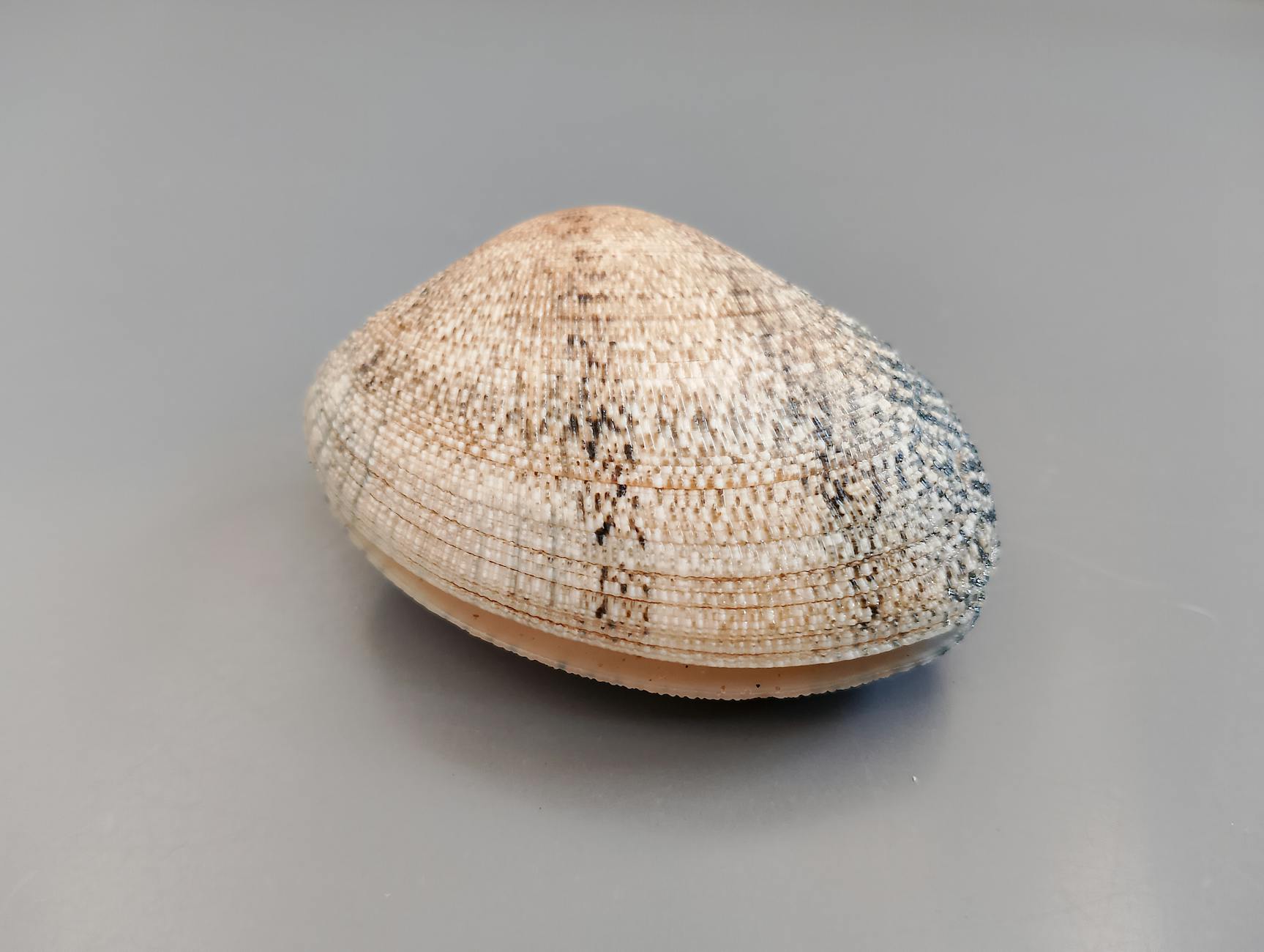 Kompetencje firmy windykacyjnej - co musisz wiedzieć?