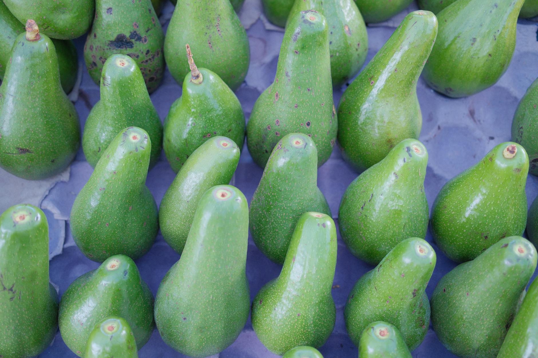 Skutki egzekucji dla dłużnika i wierzyciela